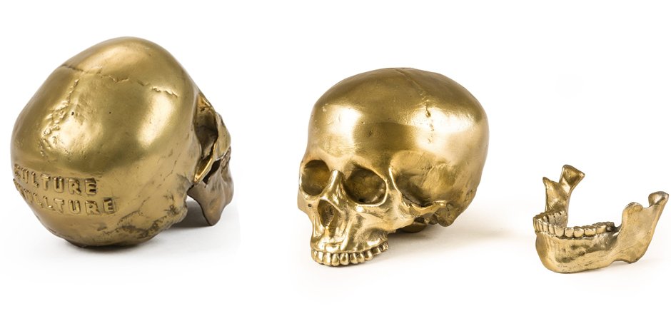 Статуэтка Seletti Wunderkrammer Human Skull Статуэтка Seletti Wunderkrammer Human Skull - Loft-Concept в Рязани