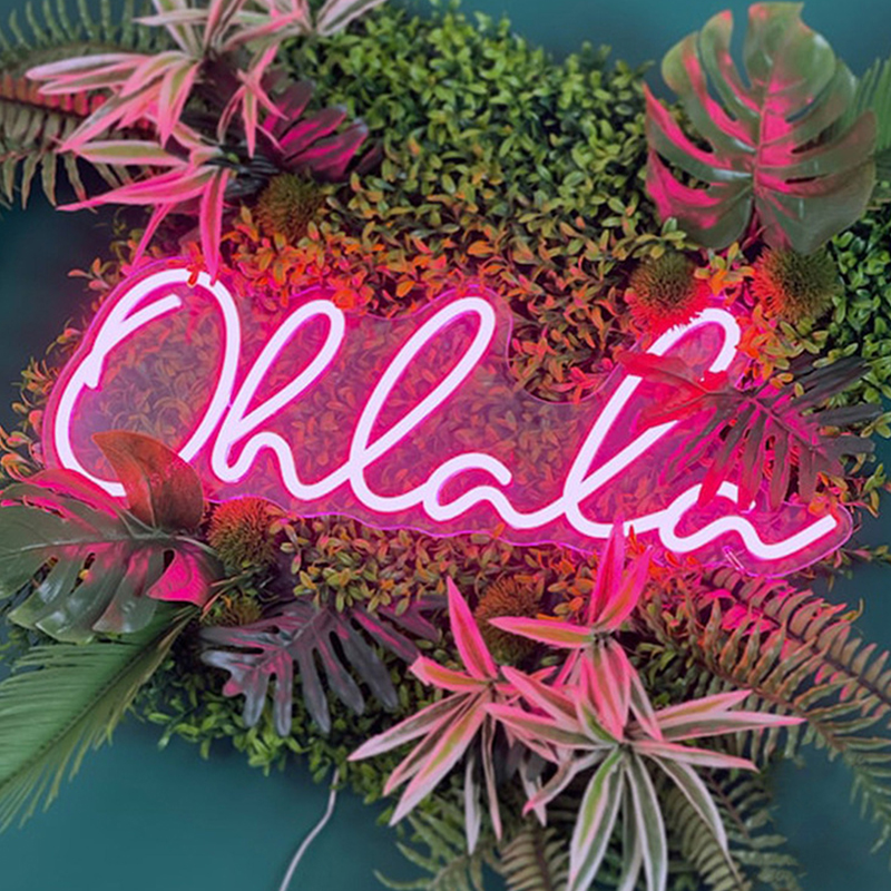 Неоновая настенная лампа Oh La La Neon Wall Lamp Розовый Розовый Прозрачный Неоновая настенная лампа Oh La La Neon Wall Lamp Розовый Розовый Прозрачный в Рязани | Loft Concept