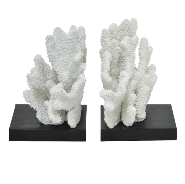 Держатели для книг White Coral Белый Держатели для книг White Coral Белый в Рязани | Loft Concept