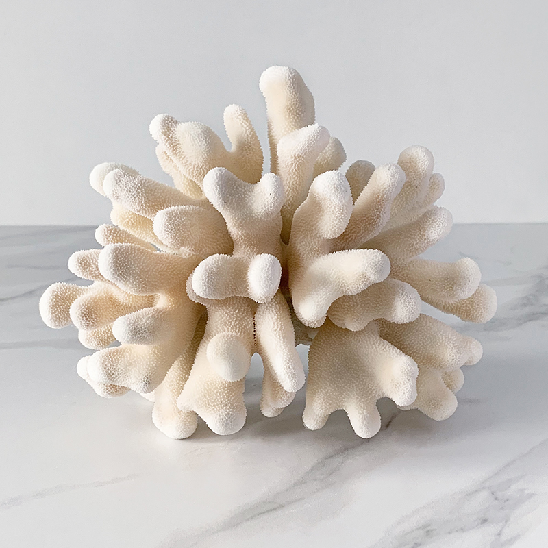 Статуэтка Elkhorn Coral Статуэтка Elkhorn Coral в Рязани | Loft Concept