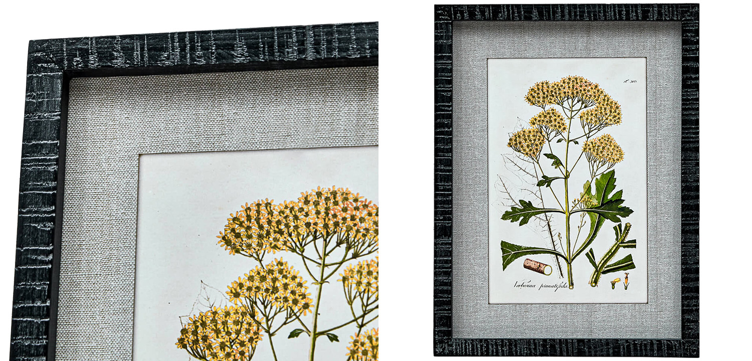 Набор постеров Herbarium Yellow Flowers - фото №3