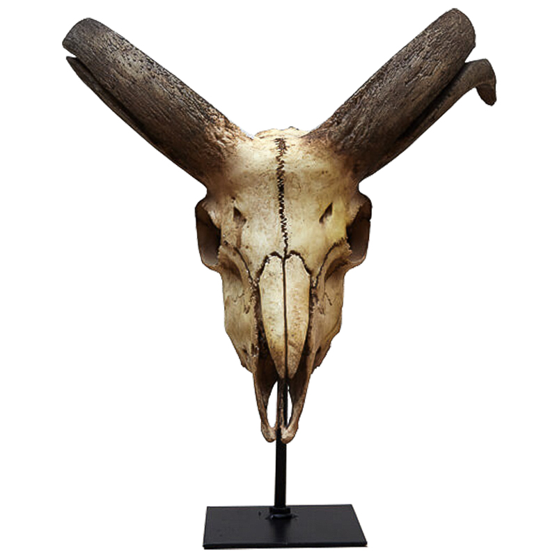 Аксессуар Goat Skull Бежевый Коричневый Черный Аксессуар Goat Skull Бежевый Коричневый Черный в Рязани | Loft Concept
