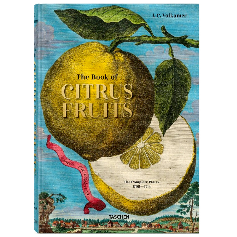 Volkamer Citrus Fruits  в Рязани | Loft Concept 
