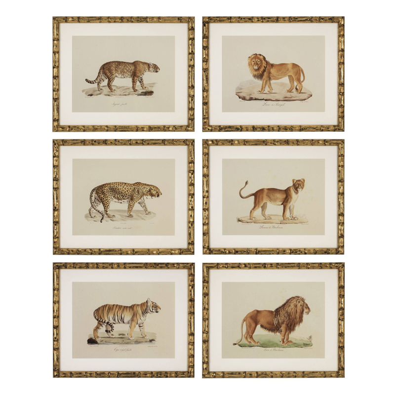 Комплект постеров Eichholtz Prints Lion Tigre Jaguar set of 6 Золотой Бежевый Мульти Комплект постеров Eichholtz Prints Lion Tigre Jaguar set of 6 Золотой Бежевый Мульти в Рязани | Loft Concept