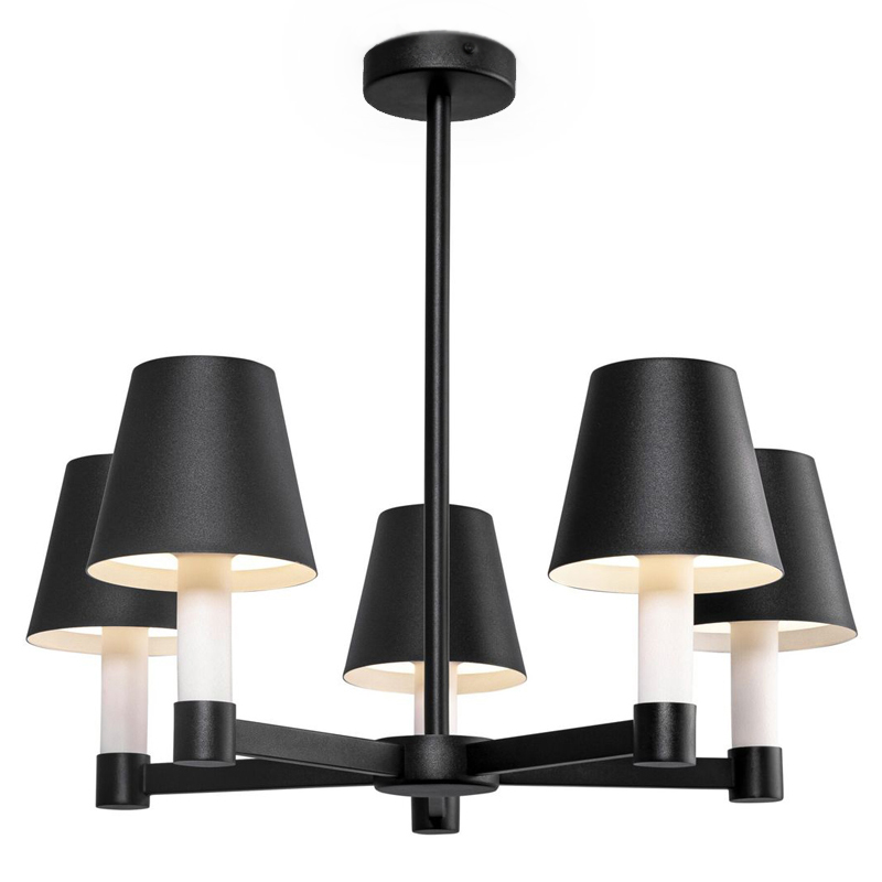 Люстра Eremon Chandelier 5 Черный Люстра Eremon Chandelier 5 Черный в Рязани | Loft Concept