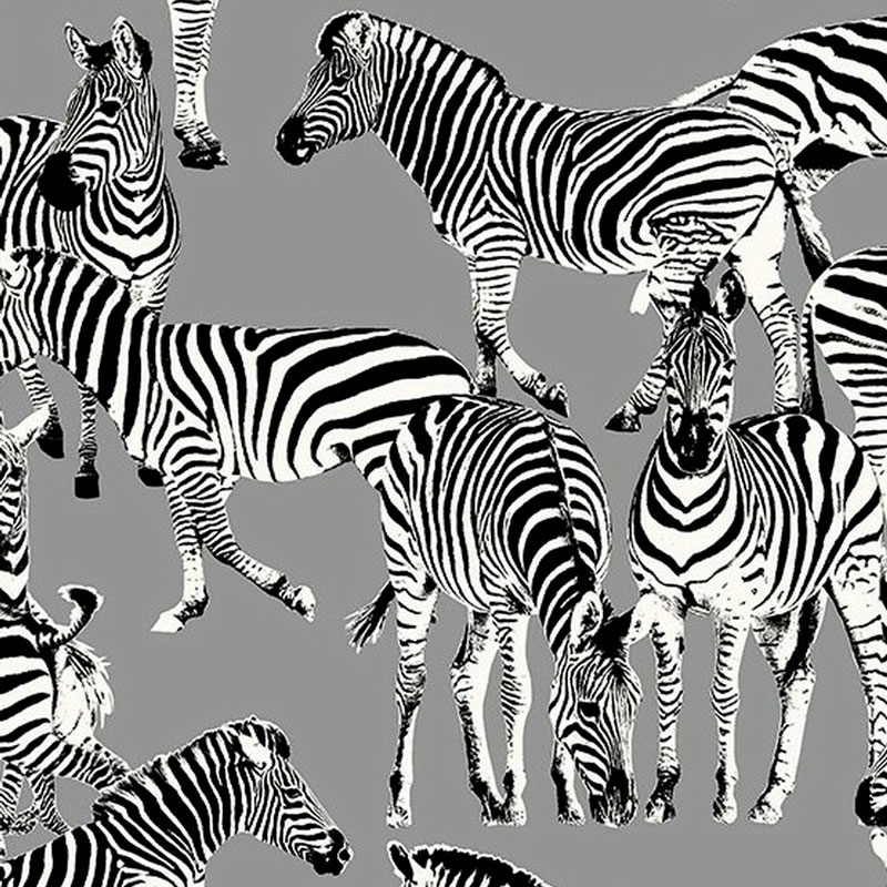 Обои ручная роспись Zebras Mid Grey Обои ручная роспись Zebras Mid Grey в Рязани | Loft Concept