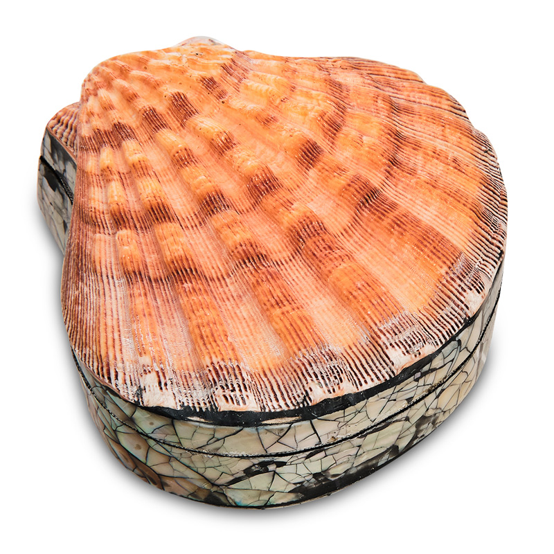 Шкатулка Shell Box II Коралловый Шкатулка Shell Box II Коралловый в Рязани | Loft Concept