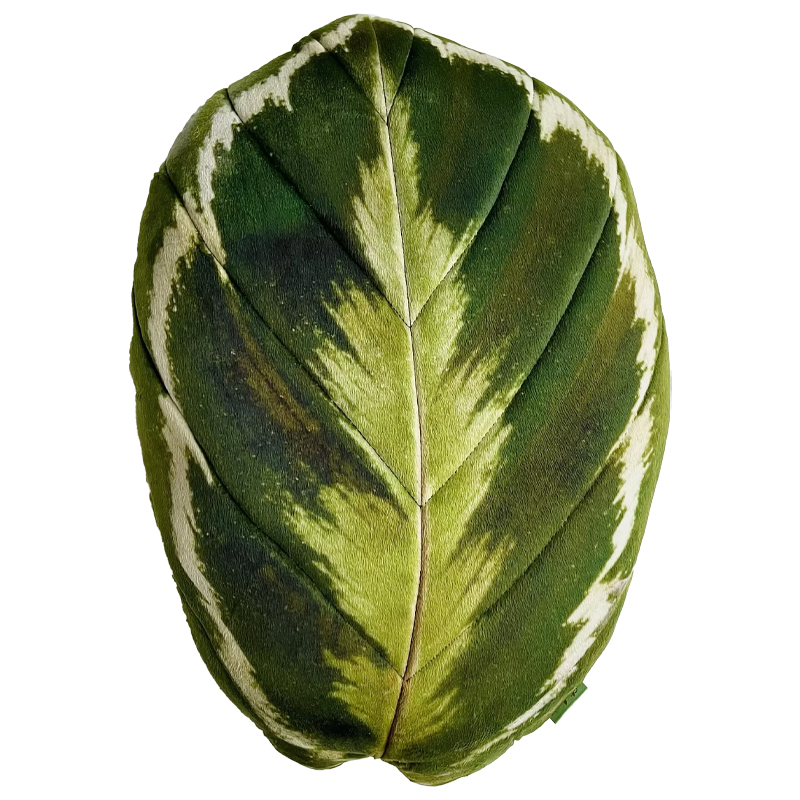 Декоративная подушка Botanical Cushion Calathea Medallion Зеленый Декоративная подушка Botanical Cushion Calathea Medallion Зеленый в Рязани | Loft Concept