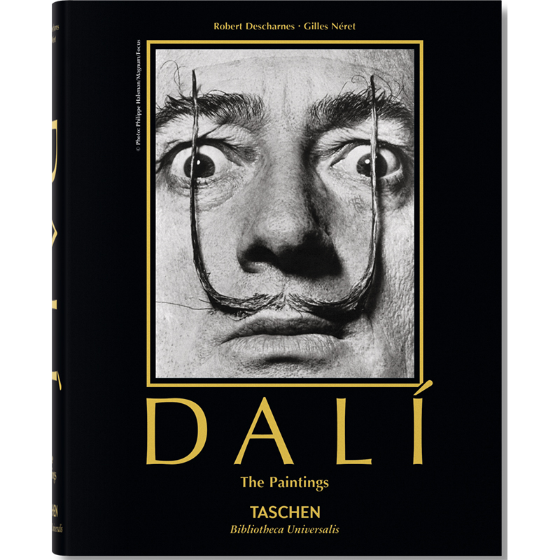 Salvador Dali. Paintings Salvador Dali. Paintings в Рязани | Loft Concept