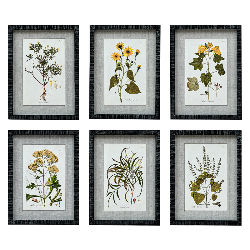 Набор постеров Herbarium Yellow Flowers Мульти Набор постеров Herbarium Yellow Flowers Мульти в Рязани | Loft Concept