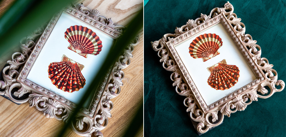 Постер Red Scallop Poster - Loft-Concept в Рязани