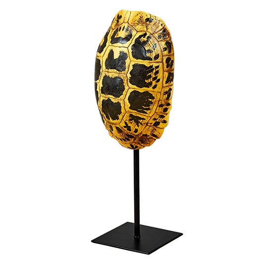 Статуэтка Yellow Tortoise Shell Черный Желтый Статуэтка Yellow Tortoise Shell Черный Желтый в Рязани | Loft Concept