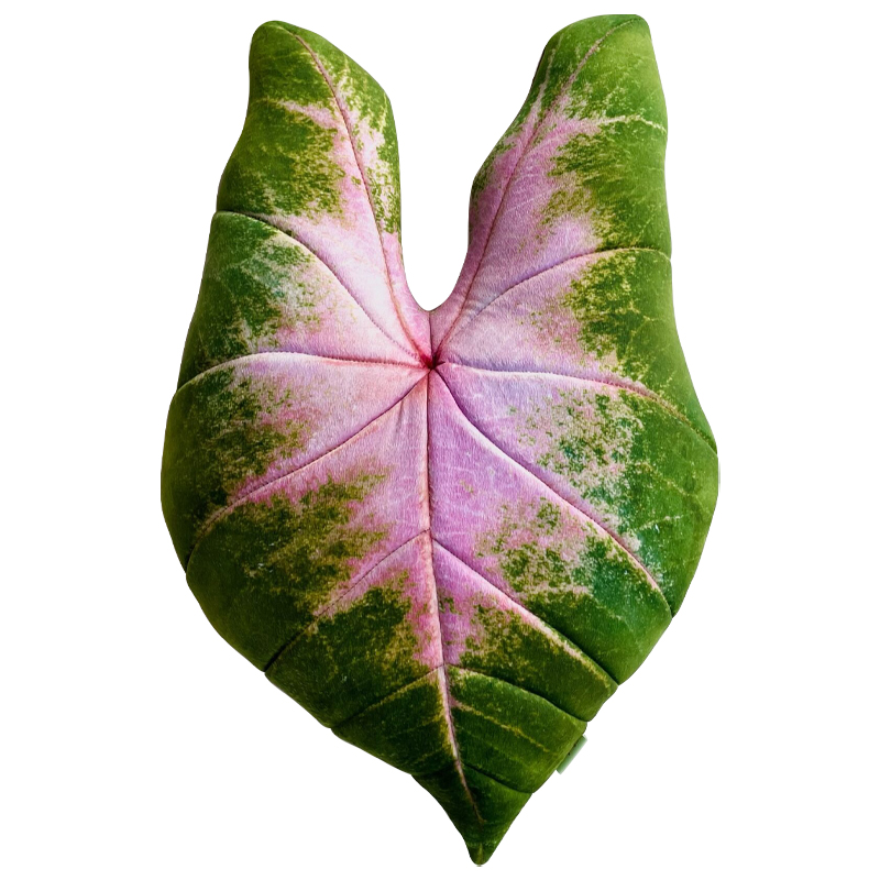 Декоративная подушка Botanical Cushion Caladium Bicolor Зеленый Розовый Декоративная подушка Botanical Cushion Caladium Bicolor Зеленый Розовый в Рязани | Loft Concept