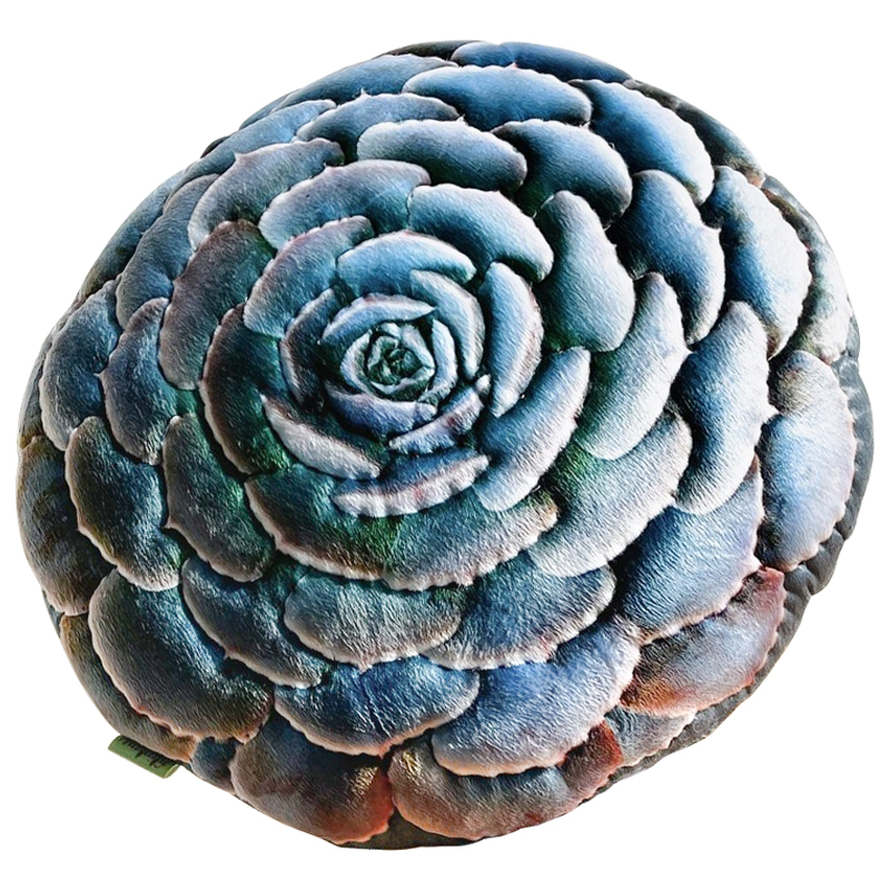 Декоративная подушка Botanical Cushion Succulentus Зеленый Зеленый шалфей Бирюзовый Декоративная подушка Botanical Cushion Succulentus Зеленый Зеленый шалфей Бирюзовый в Рязани | Loft Concept