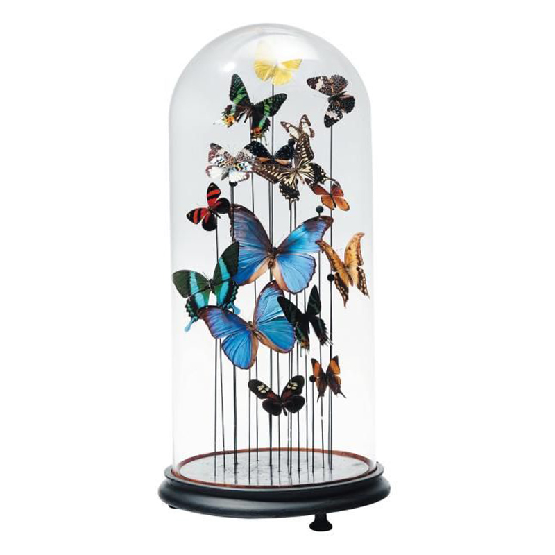 Статуэтка 15 Butterflies Glass Cloche Статуэтка 15 Butterflies Glass Cloche в Рязани | Loft Concept