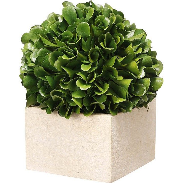 Декоративный искусственное растение Square boxwood Зеленый Бежевый Декоративный искусственное растение Square boxwood Зеленый Бежевый в Рязани | Loft Concept