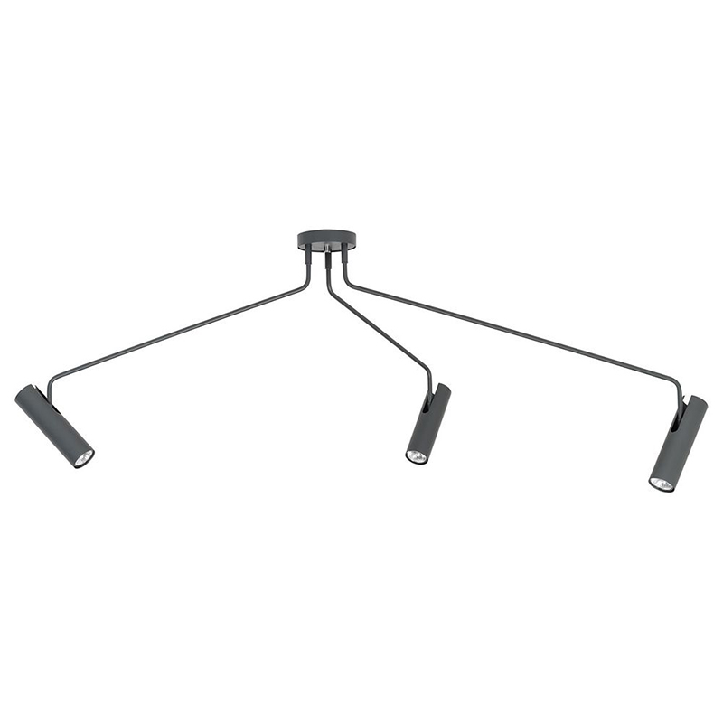 Потолочный светильник Tibo Branches Trumpet Tube graphite 3 Графит Потолочный светильник Tibo Branches Trumpet Tube graphite 3 Графит в Рязани | Loft Concept