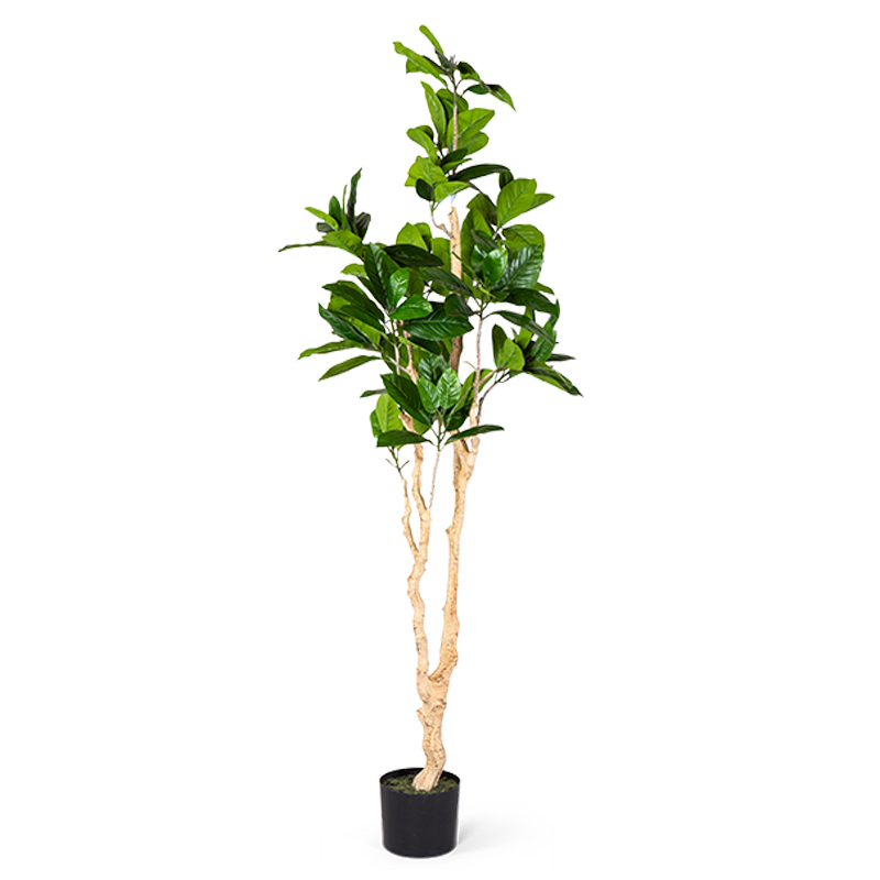 Декоративный искусственный цветок Decorative Tree h187 Зеленый Декоративный искусственный цветок Decorative Tree h187 Зеленый в Рязани | Loft Concept