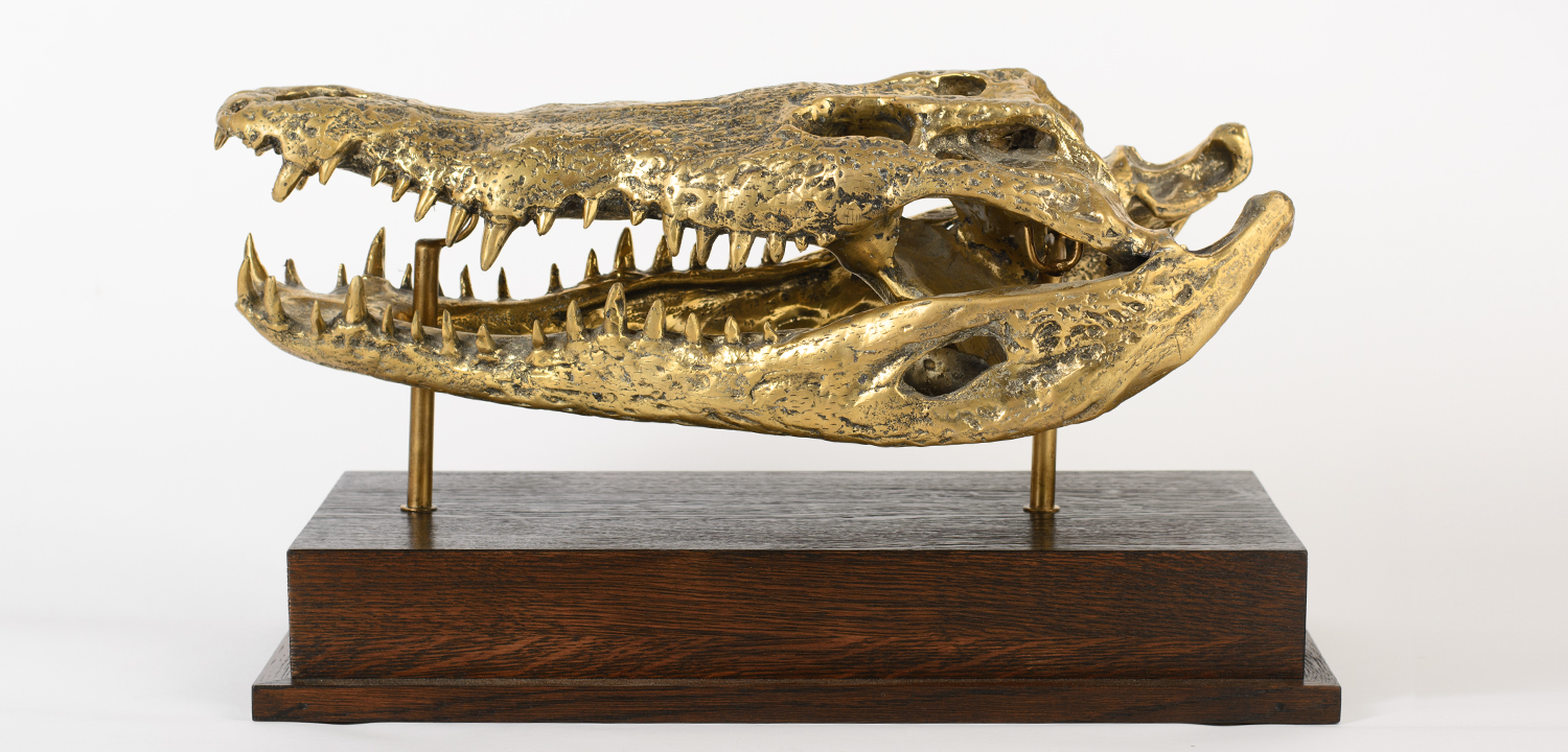 Череп Крокодила Латунь - фото