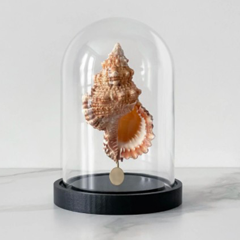 Статуэтка Bursa Rubeta Glass Cloche Статуэтка Bursa Rubeta Glass Cloche в Рязани | Loft Concept