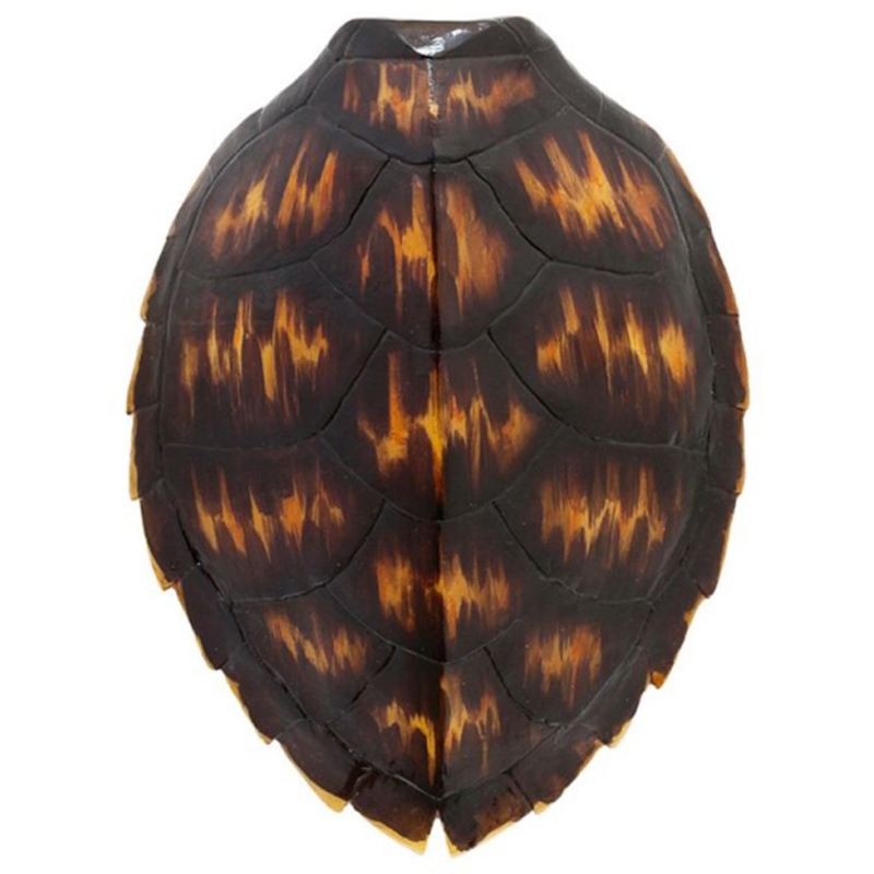 Аксессуар Turtle Shell Brown Orange Коричневый Оранжевый Аксессуар Turtle Shell Brown Orange Коричневый Оранжевый в Рязани | Loft Concept