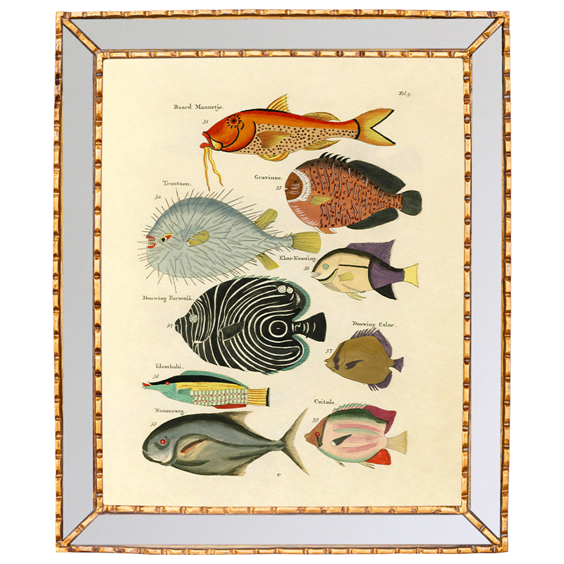 Постер в зеркальной раме Fish Guide Мульти Золотой в Рязани | Loft Concept 