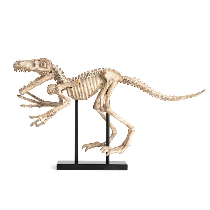 Статуэтка Dinosaur Skeleton big Бежево-серый Статуэтка Dinosaur Skeleton big Бежево-серый в Рязани | Loft Concept