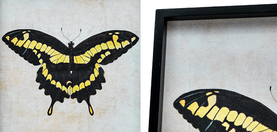 Комплект из 4-х постеров Большие Бабочки - фото №2
