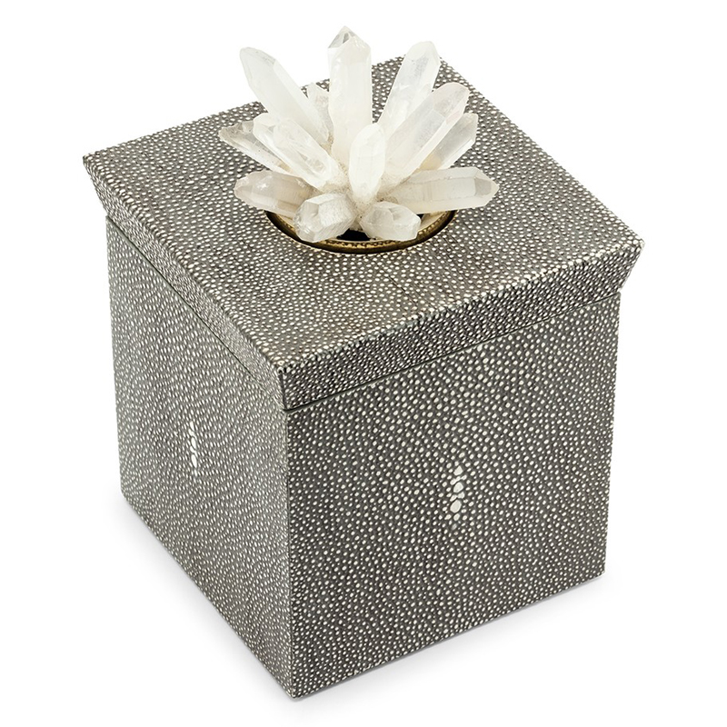 Шкатулка BOX KRIZIA STING SQ Светло-серый Прозрачный Шкатулка BOX KRIZIA STING SQ Светло-серый Прозрачный в Рязани | Loft Concept