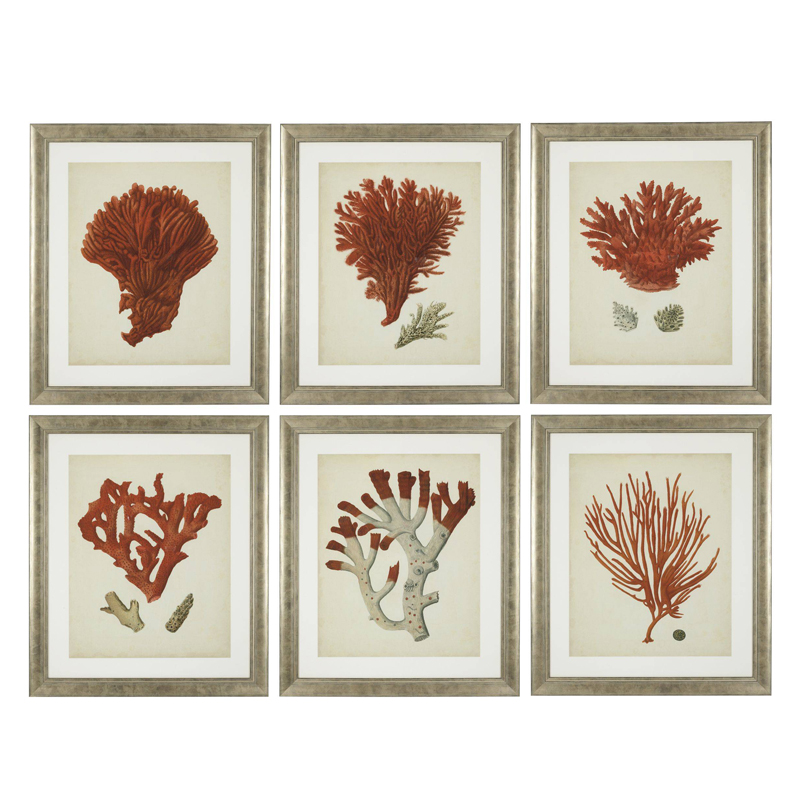Комплект постеров Eichholtz Prints Antique Red Corals set of 6 Сатиновое Серебро Коралловый Бежевый Комплект постеров Eichholtz Prints Antique Red Corals set of 6 Сатиновое Серебро Коралловый Бежевый в Рязани | Loft Concept