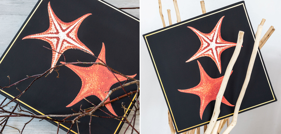 Постер Sea Stars Poster Постер Sea Stars Poster - Loft-Concept в Рязани