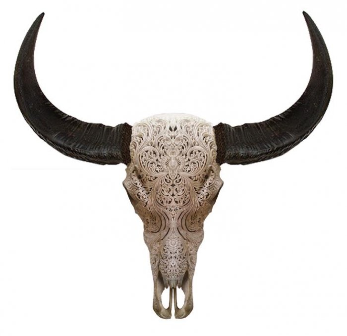 Череп буйвола с резьбой Buffalo Skull Tribal Carving Белый Череп буйвола с резьбой Buffalo Skull Tribal Carving Белый в Рязани | Loft Concept