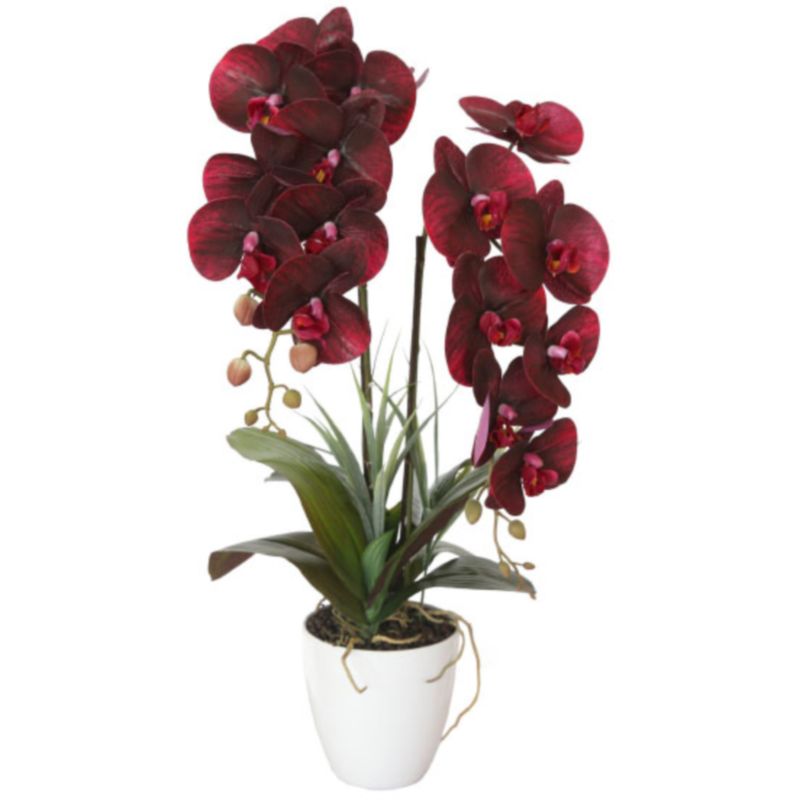 Искусственная орхидея Мультифлора burgundy Бордовый Искусственная орхидея Мультифлора burgundy Бордовый в Рязани | Loft Concept