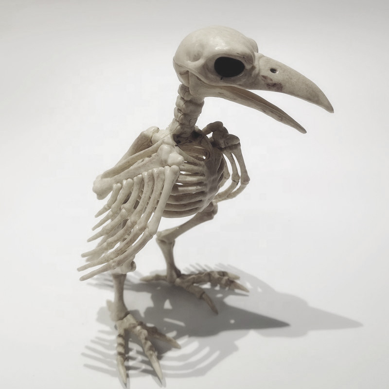 Статуэтка Crow Skeleton Бежевый Статуэтка Crow Skeleton Бежевый в Рязани | Loft Concept