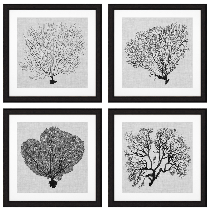 Комплект постеров Eichholtz Prints Shadow Sea Fans set of 4 Черный Черно-белый Комплект постеров Eichholtz Prints Shadow Sea Fans set of 4 Черный Черно-белый в Рязани | Loft Concept