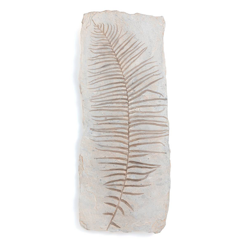 Аксессуар на стену Tropical Leaf Бежево-серый Аксессуар на стену Tropical Leaf Бежево-серый в Рязани | Loft Concept