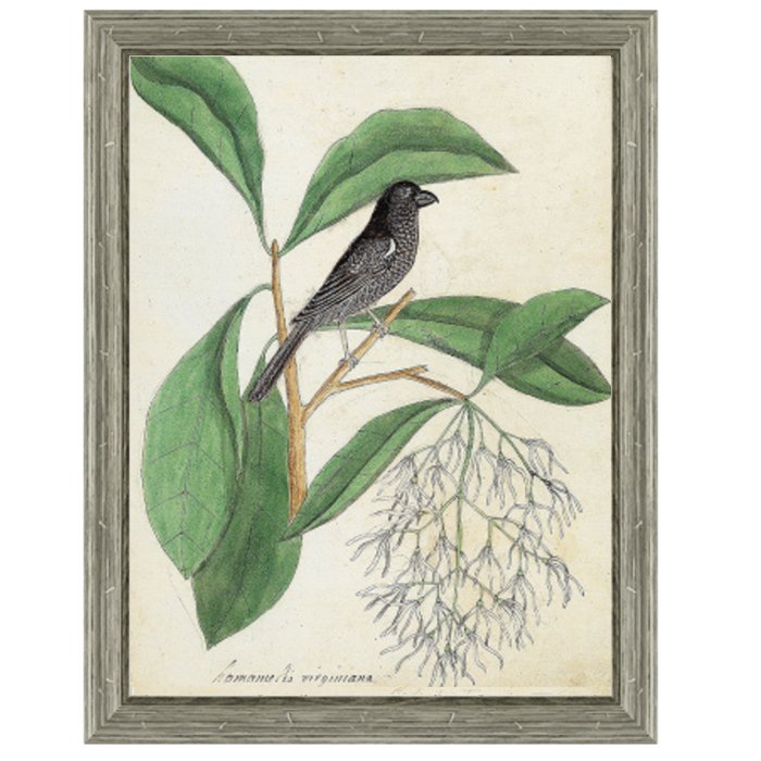 Постер Black Bird & White Flowers Постер Black Bird & White Flowers в Рязани | Loft Concept