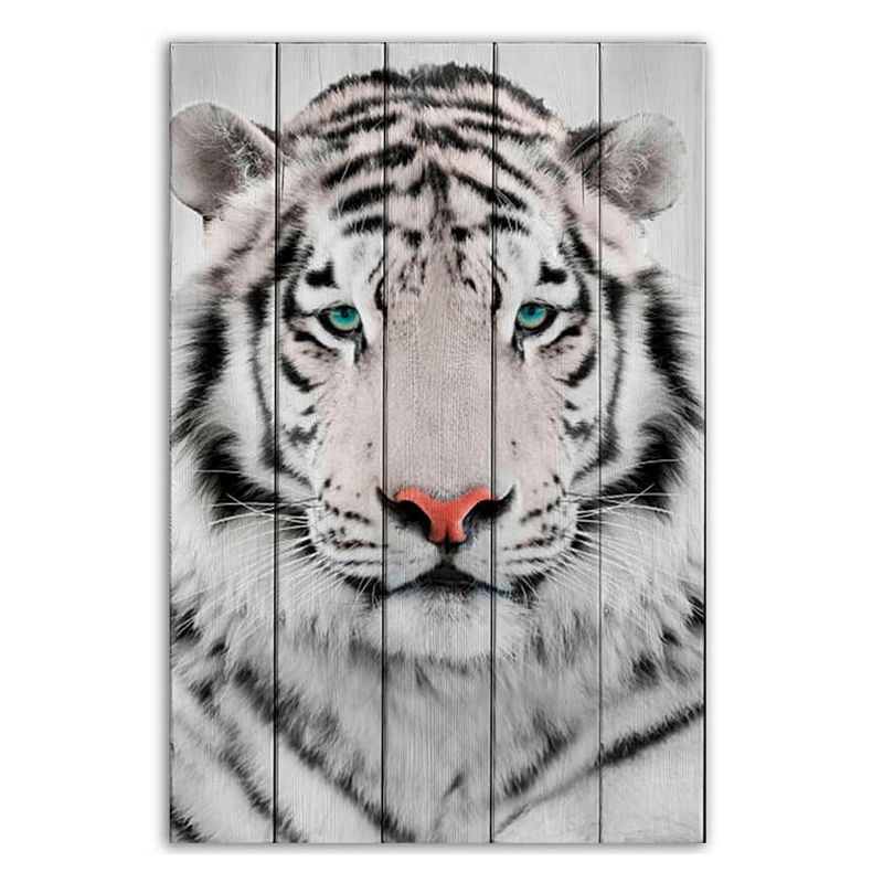 Постер White Tiger Постер White Tiger в Рязани | Loft Concept