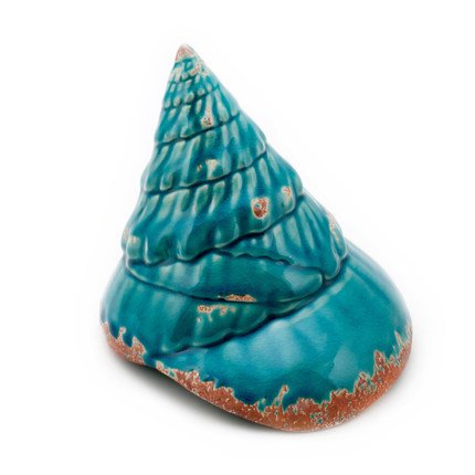 Ракушка Shell Turquoise #2 Бирюзовый Ракушка Shell Turquoise #2 Бирюзовый в Рязани | Loft Concept