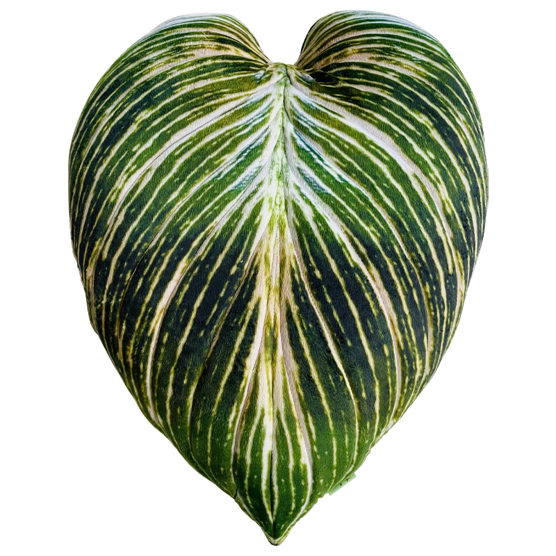 Декоративная подушка Botanical Cushion Philodendron Birkin Зеленый Салатовый Белый Декоративная подушка Botanical Cushion Philodendron Birkin Зеленый Салатовый Белый в Рязани | Loft Concept