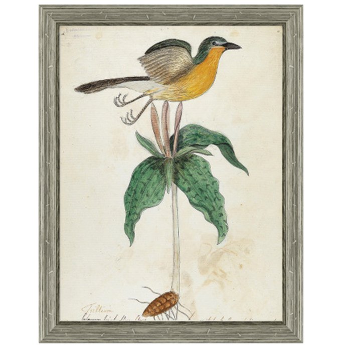 Постер Bird On Flower Постер Bird On Flower в Рязани | Loft Concept