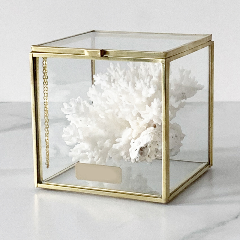 Статуэтка Natural Coral Glass Box S Статуэтка Natural Coral Glass Box S в Рязани | Loft Concept