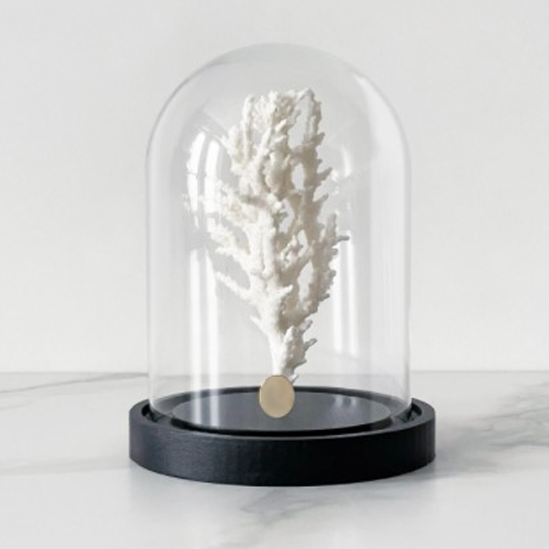 Статуэтка White Coral Glass Cloche Статуэтка White Coral Glass Cloche в Рязани | Loft Concept