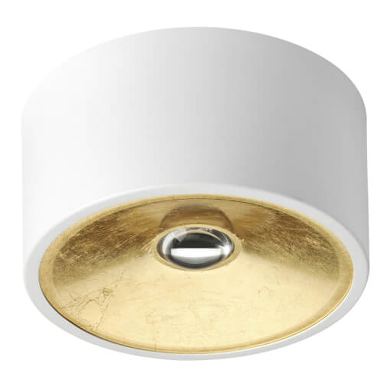 Спот Gold Diffuse Белый 20 Белый Золотой Спот Gold Diffuse Белый 20 Белый Золотой в Рязани | Loft Concept
