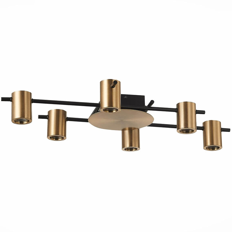 Потолочный светильник Aigle Ceiling Light 6 Черный Латунь Потолочный светильник Aigle Ceiling Light 6 Черный Латунь в Рязани | Loft Concept