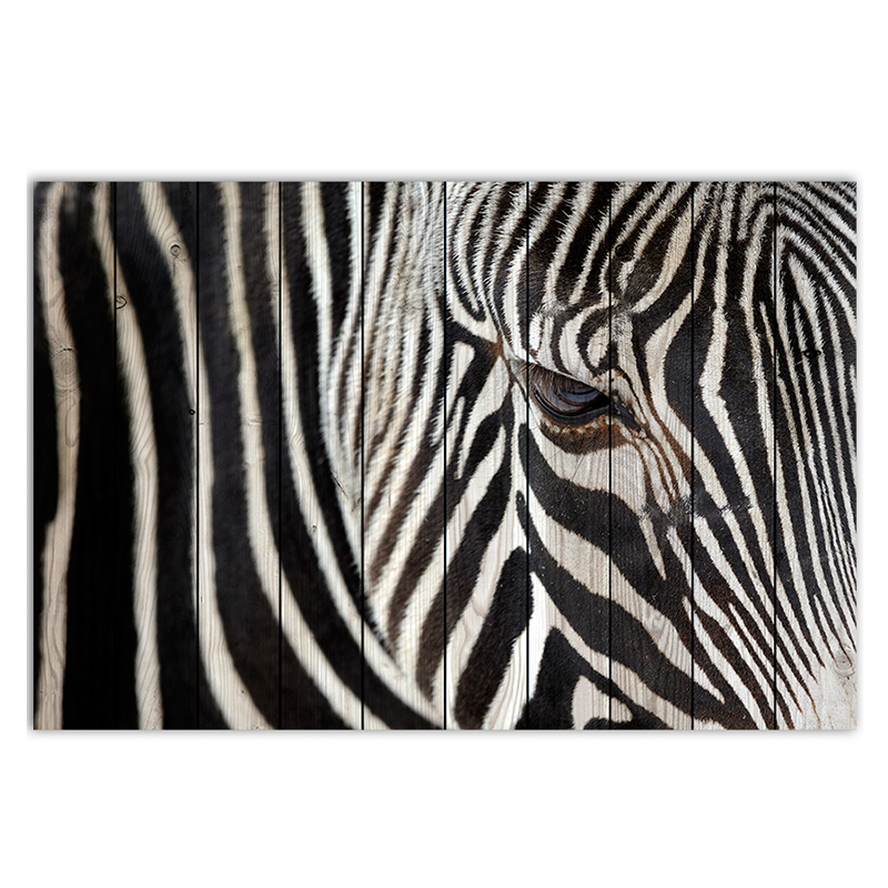 Постер Zebra Постер Zebra в Рязани | Loft Concept