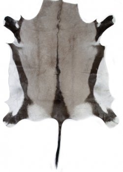 Натуральная шкура антилопы Gemsbok Черный Натуральная шкура антилопы Gemsbok Черный в Рязани | Loft Concept