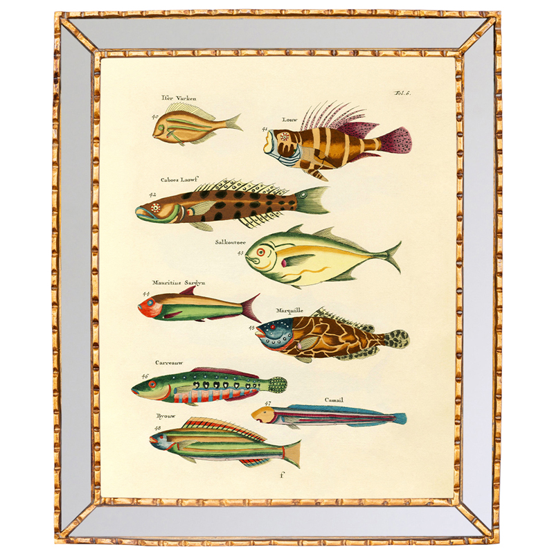 Постер в зеркальной раме Fish Guide 2 Мульти Золотой Постер в зеркальной раме Fish Guide 2 Мульти Золотой в Рязани | Loft Concept