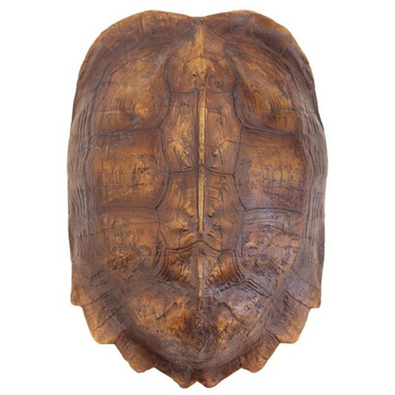 Аксессуар Turtle Shell Natural Light Brown Коричневый Аксессуар Turtle Shell Natural Light Brown Коричневый в Рязани | Loft Concept