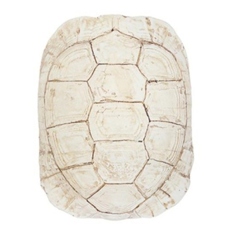 Аксессуар Turtle Shell White Бежевый Аксессуар Turtle Shell White Бежевый в Рязани | Loft Concept